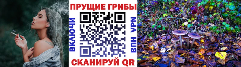 Псилоцибиновые грибы GOLDEN TEACHER  Купить где  Ирбит 